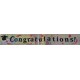 Graduation Banner - Pack of 4